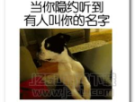 奇葩图片带文字,创意无限，文字与图片的奇妙碰撞