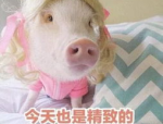 娱乐吃瓜女星看秀争座位,女星看秀争座位的尴尬瞬间