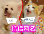 张雨绮恋爱速度破吉尼斯：新欢身份成谜背后藏着娱乐圈三大生存法则娱乐吃瓜男朋友