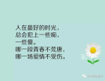 十月十日打一字答案,探寻汉字奥秘，揭秘‘朝与‘萌之谜”