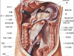 “春季血色文明宣谈进结构”首谈走进光山县公安局，51吃瓜网-51今日吃瓜必吃大瓜fun官网-网页-17国产黑料cg今日必吃大瓜fun2023已更新-海表稀缺呦精品呦视频1_海表稀缺呦精品呦视频1V