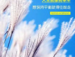 笑一笑的句子正能量,每日一笑，生活更美好”
