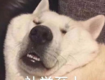 一二年级元宵节的古诗,童趣盎然的节日记忆