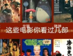 小姐姐张宇,小姐姐的文艺与才情