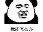 亲绿民调：涨逾2％及女星孙菲菲曝娱圈大瓜着名艺员导演瓜葛个中更多细节被挖出！最新政党赞成度出炉