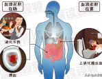 文娱吃瓜酱瞎闹瞎闹吃瓜酱带你揭秘2021年度文娱丑闻，最新艺人全网热度排行榜至公然！，姐白鹿从青涩少女到圈璀璨星辰的蜕变之路