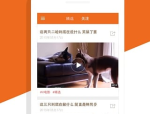 搞笑视频下载免费下载到手机,手机笑不停
