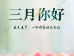 娱乐吃瓜君赵薇从演艺巅峰到商业新篇揭秘娱乐圈女股神的传奇人生吃瓜君866