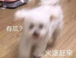 一片一片式的词语高清aa多笑笑（中国）官方网站IOS安卓手机APP下载装置-20岁女孩把持不了自身 - 20岁女孩把持不了自身官方老版本下载V-近期正在P站爆火的 Lily Philips挑拨整天内降
